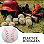 Bola Beisebol AX Esportes Oficial - YW 264 - EXCLUSIVIDADE - Imagem 7