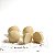Trufas - Imagem 3