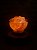 Luminária de Sal Rosa do Himalaia - Bowl - Imagem 6