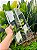 Telha Transparente Romana New Medidas 40x22 cm Injetada - Imagem 2