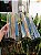 5 Telhas Classica / Eurotop Thermo Transparente Medida 42x33 cm - Imagem 1