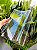 Caixa 10 Telhas Americana Maxx Plastico (Pet) Transparente Medida 46x31 cm - Imagem 1