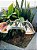 Kit 5 Telhas Monte Carmelo Tripla / Plan Mineira Tripla 47x34cm - Imagem 5