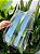 Caixa 10 Telhas Americana Silva Transparente Plastico (Pet) Medida 42x25,5 cm - Imagem 1