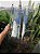 5 Telhas R-10 / Eurotop Transparente Medida 47x29 cm Thermo - Imagem 2