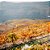 Vinho Tinto Português Reserva Tawny Croft 750ml - Imagem 5