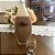 Licor Italiano Bottega Gianduia 500ml - Imagem 4