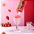 Espuma Sabor Morango para Drinks Begin Spices 220ml - Imagem 3