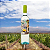 Vinho Branco Português Porta 6 750ml - Imagem 4