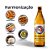 Kit 3 Cervejas Paulaner  Munchner Hell  500ml + Copo Prost - Imagem 4