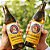 Kit 3 Cervejas Paulaner  Munchner Hell  500ml + Copo Prost - Imagem 3