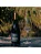 Vinho Tinto Seco Miolo Single Vineyard Touriga Nacional 750ml - Imagem 3