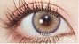 Eyeshare Twinkle Brown - Imagem 1