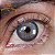 Lente de Contato Urban Layer Passion Gray | COM E SEM GRAU - Imagem 1