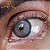 Lente de Contato Urban Layer Passion Gray | COM E SEM GRAU - Imagem 2