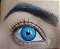 Urban Layer New York Blue - (COM E SEM GRAU) - Imagem 1