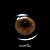 Lente de Contato Siesta Black Bliss Cafe | COM E SEM GRAU - Imagem 7