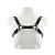 Arreio Masculino Harness Anteros - Imagem 1