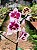 Phalaenopsis Yu Pin Pearl - Imagem 1