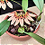 Bulbophyllum Weberi - Imagem 2