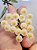 Hoya Sweetheart Krohniana - Hoya Lacunosa - Imagem 4