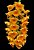 Dendrobium Densiflorum - Imagem 2