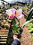 Cattleya Hibrida 01 - Imagem 4