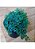 Samambaia Azul - Selaginella Uncinata - Imagem 4