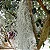 Bromelia Tillandsia Usneoides - Barba-de-Velho - Imagem 1