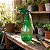Pulverizador Verde 500 ML - Imagem 1