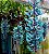 Strongylondon macrobothrys - Jade Azul (Trepadeira) - Imagem 5