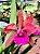 Cattleya Hibrida 10 - Imagem 3