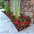 Mini Ixora Vermelha - Imagem 2