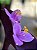 Trapoeraba roxa - Tradescantia pallida purpurea - Imagem 3