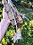 Orquídea Dendrobium Aphyllum ou Pierardii - NO TOCO - Imagem 11