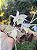 Orquídea Dendrobium Aphyllum ou Pierardii - NO TOCO - Imagem 8