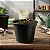 Vaso Preto Pote 15 (1 L) - Kit com 5 Unidades - Imagem 2