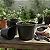 Vaso Preto Pote 15 (1 L) - Kit com 5 Unidades - Imagem 1