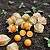 Fisális - Physalis angulata - Imagem 3