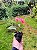 Primavera Baby Pink - Bougainvillea Pink Pixie - Imagem 5