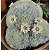 Cacto Mammillaria Plumosa - Imagem 3