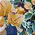 Primavera Variegata Laranja - Bougainvillea Laranja - Imagem 8