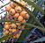 Caraguatá do mato - Bromelia balansae - Imagem 1