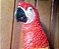 Arara Vermellha Decorativo em Resina - Imagem 3
