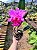 BLC Yamanashi x LC Drumbeat - Imagem 9