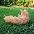 Gato em Resina - Imagem 3