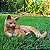 Gato em Resina - Imagem 6