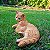 Gato em Resina - Imagem 2