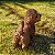 Poodle Marron em Resina (Cachorro) - Imagem 3