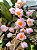 Dendrobium Rosy Cluster - Imagem 7